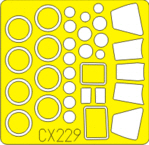 CX229.jpg