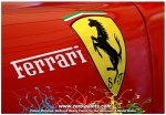 DZ013 Zero Paints Ferrari Ferrari Rosso Formula 1 F2007 F2008 2X30ml Tamiya