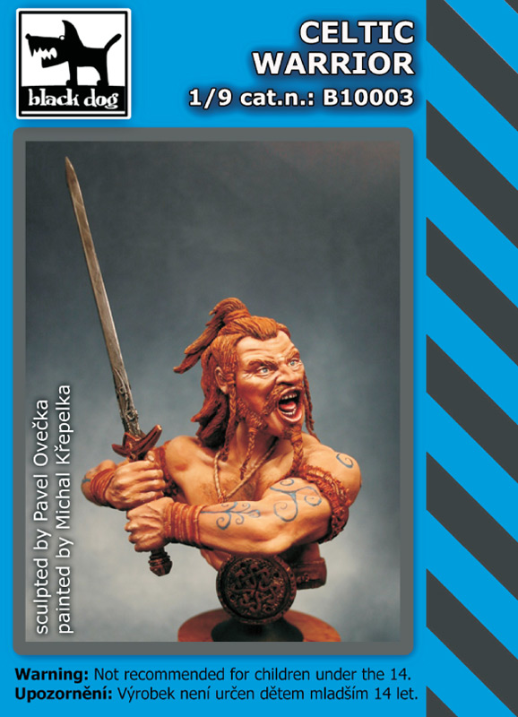 B10003 Celtic warrior