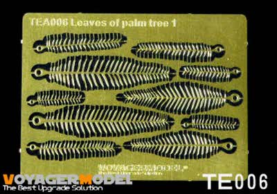 VS001 Leaves of plam tree I (Same as TE006)