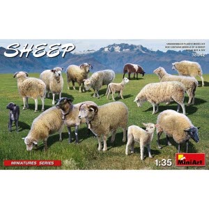 BE38042 1/35 Sheep