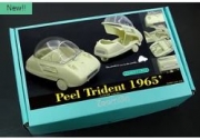 [사전 예약] Z137 1/24 Peel Trident 1965’