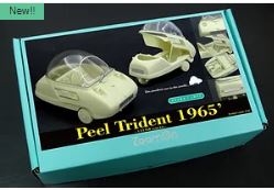 Z137 1/24 Peel Trident 1965’