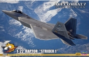 [사전 예약] HSGSP558 1/48 Ace Combat 7 Skies Unknown F-22 Raptor Strider 1