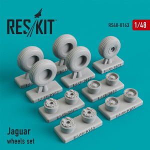 [사전 예약] RS48-0163 1/48 Sepecat Jaguar wheels set (1/48)