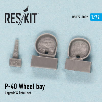RSU72-0002 1/72 P-40 (D,E.F,K,M,N) Wheel bay (1/72)