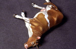 [사전 예약 ~10/4일] DO35A02 1/35 Dead cow