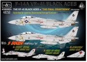 48250 1/48 48250 F-14A \"Black Aces\" Final countdown