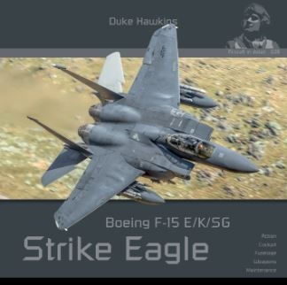 [주문시 입고] F-15E Strike Eagle