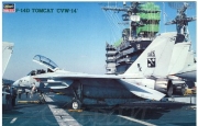 [사전 예약] HSGPT12 1/48 F-14D Super Tomcat CVW-14