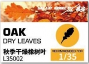 [사전 예약] L35002 Oak dry leaves