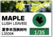 [사전 예약] L35004 Maple lush leaves