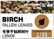 [사전 예약] L35009 Birch fallen leaves