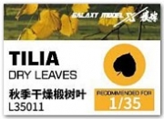 [사전 예약] L35011 Tilia dry leaves
