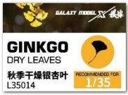 [사전 예약] L35014 Ginkgo dry leaves