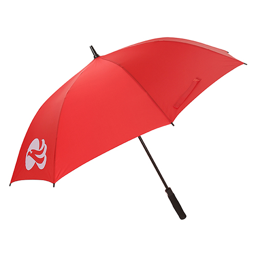 독수리 X 까스텔바작 우산