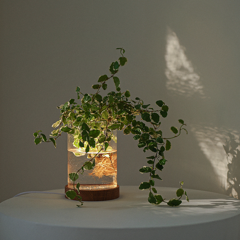 [모던포인트] 원목 LED 수경 식물 무드등 수면등 취침등 집들이선물